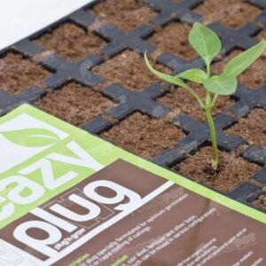 Eazy Plug 12er Anzuchttray, steckfertig