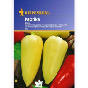 Snackpaprika Tribelli Mini Orange ,F1