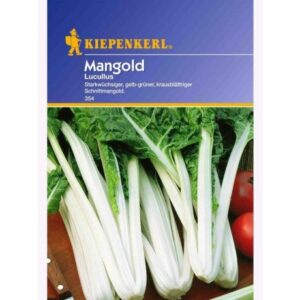 Mangold Bright Lights ,F1