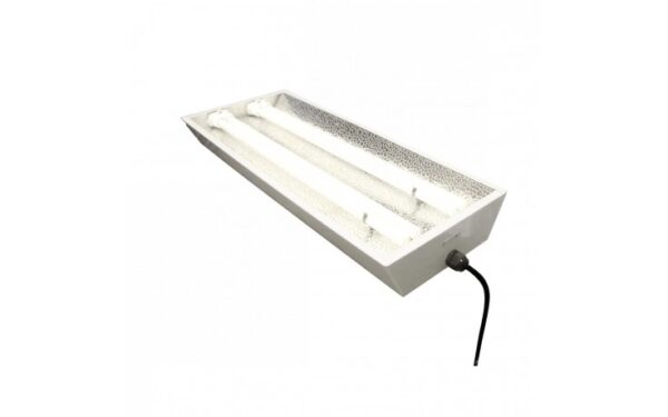 Philips Starlight 2 x 55W./ 865, inkl. Röhren