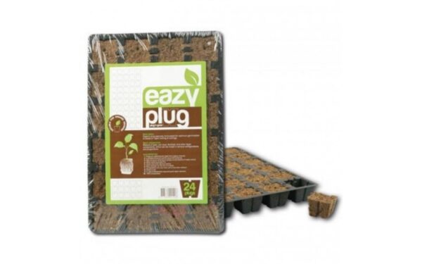 Eazy Plug 77er Anzuchttray, steckfertig