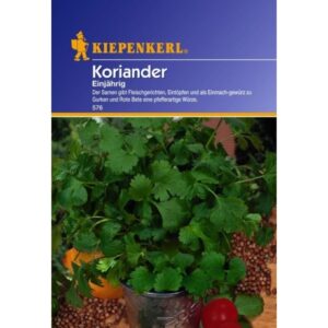 Koriander Caribe