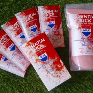 F-MAX Essential Kick 1 Komponentendünger für Erde, Beutel à 55 g, VE à 5 St.
