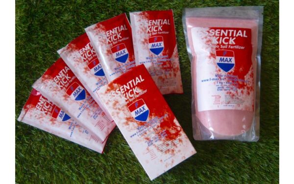 F-MAX Essential Kick 1 Komponentendünger für Erde, Beutel à 55 g, VE à 5 St.
