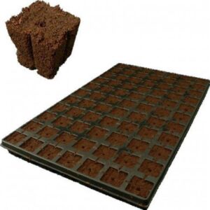 Eazy Plug 150er Anzuchttray, steckfertig