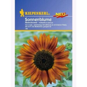 Sonnenblume Happy , F1