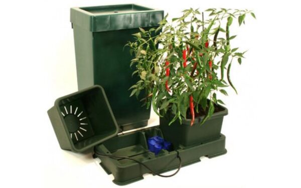 Easy2grow 2-Topf-Kit mit 47L Tank – Bild 2