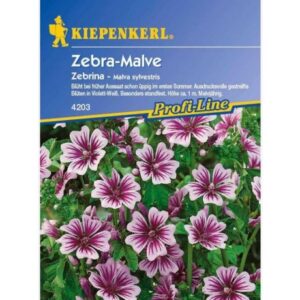 Bienenfutterpflanzen mehrjährig