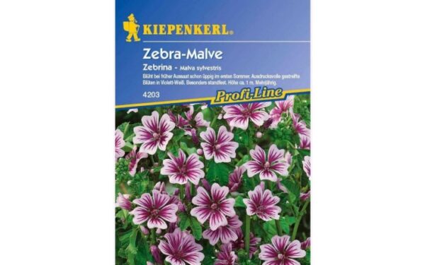 Bienenfutterpflanzen mehrjährig