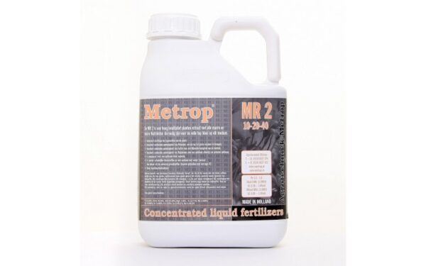 Metrop MR2, 5L (Blütephase)