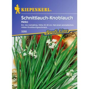 Schnittlauch Staro