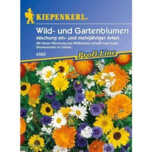 Blumenmischung Schmetterlingswiese