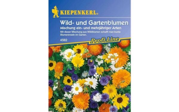 Blumenmischung Schmetterlingswiese