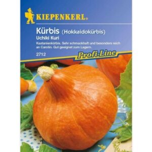 Kürbis Uchiki Kuri ,F1