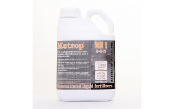 Metrop MR1, 5L (Wachstumsphase)