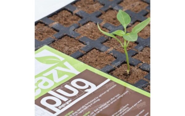 Eazy Plug 77er Anzuchttray (10 Stk.)