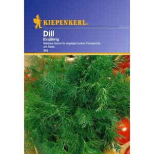 Dill Tetra