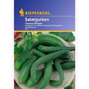 Salatgurke Dominica , F1