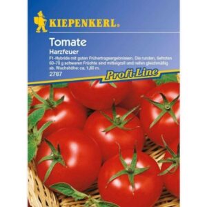 Tomaten Harzfeuer