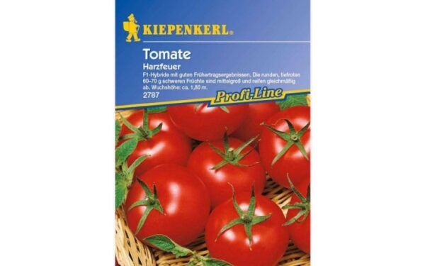 Tomaten Harzfeuer