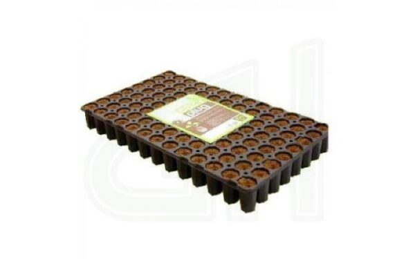 Eazy Plug 104C Anzuchttray, steckfertig
