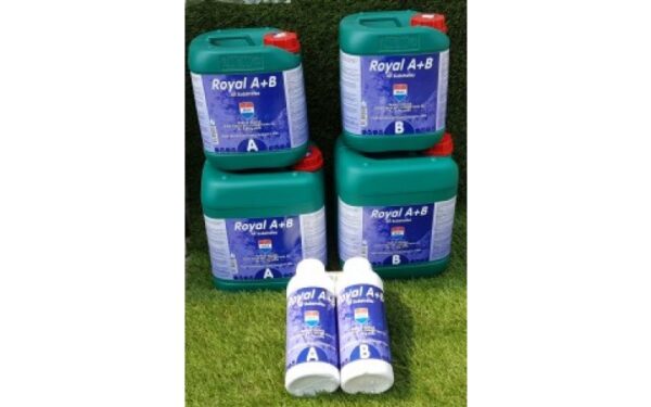 F-MAX Royal A+B 5L