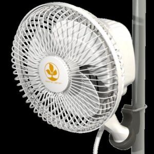 Secret Jardin Monkey Fan 16 Watt